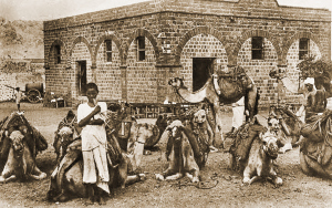 Caravan camels unloaded at a transit-village (Storehouse in the background)