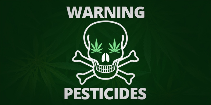Pesticide-In-Your-Pot-hero